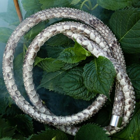 Shisha Hose / Pipe Snake - White Python